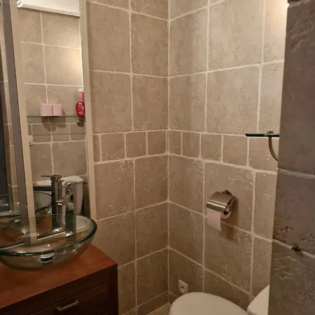 Le Domaine Des Tourterelles D'hote 住宿加早餐酒店 Saint-Dizant-du-Gua